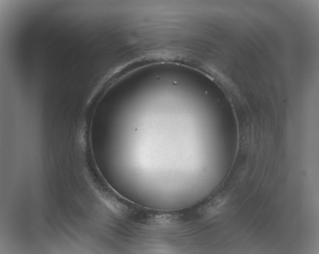 X0000069800064200605261733