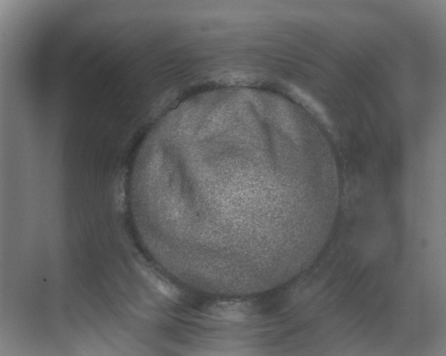 X0000069800065200605261733