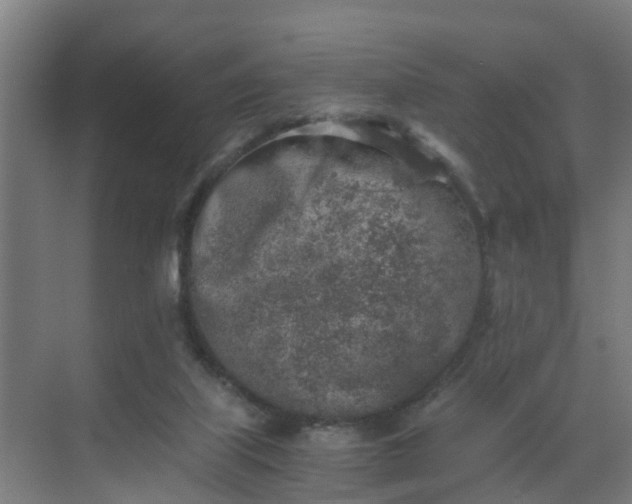 X0000069800067200605261733