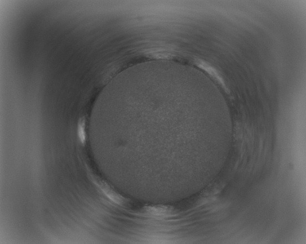 X0000069800069200605261733