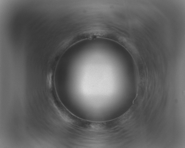 X0000069800070200605261733