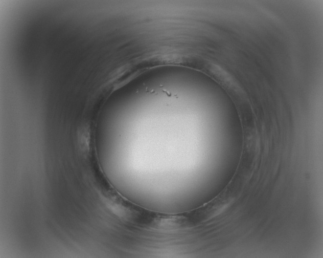 X0000069800072200605261733