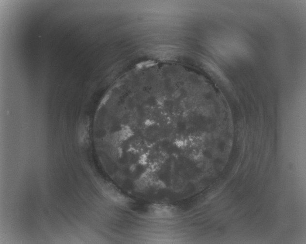 X0000069800073200605261733