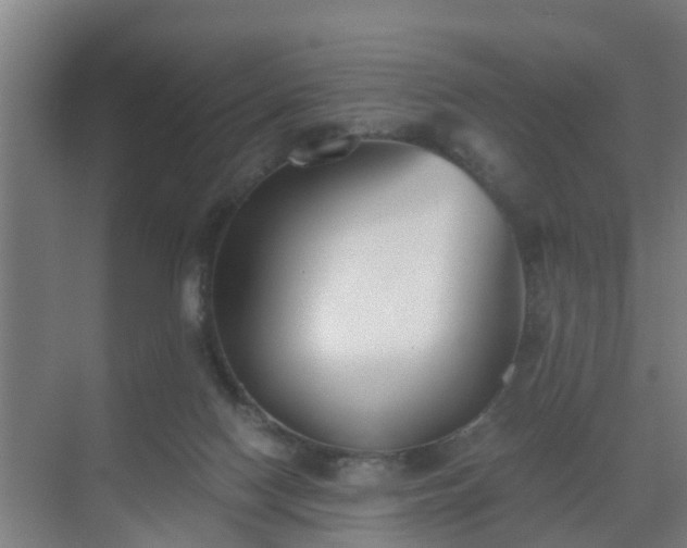 X0000069800074200605261733