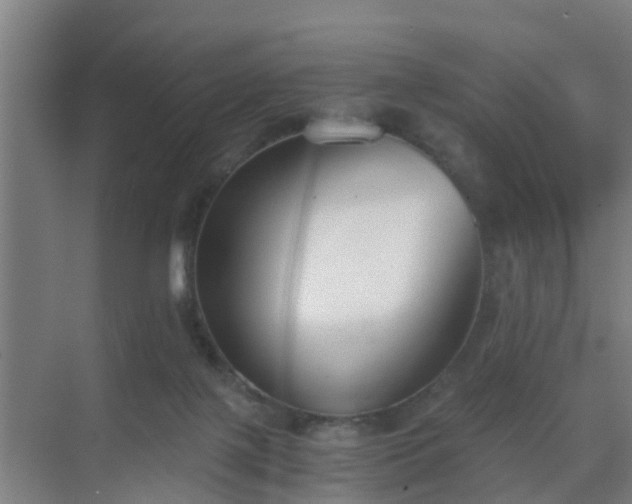 X0000069800075200605261733