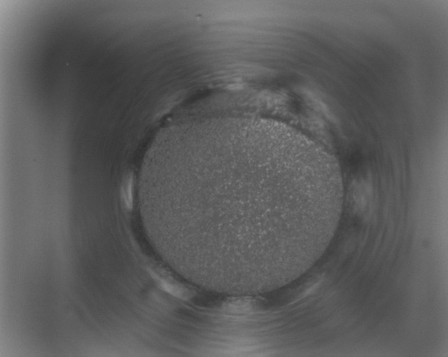 X0000069800076200605261733