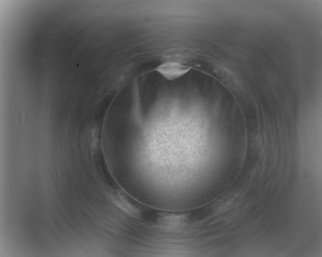 X0000069800081200605261734