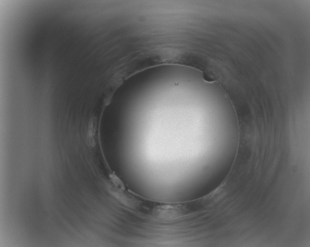 X0000069800082200605261734