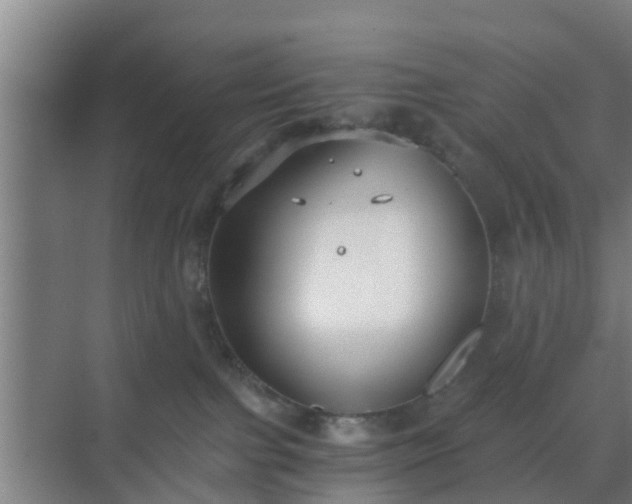 X0000069800091200605261734