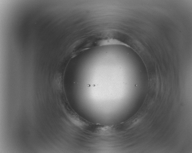 X0000069800092200605261734