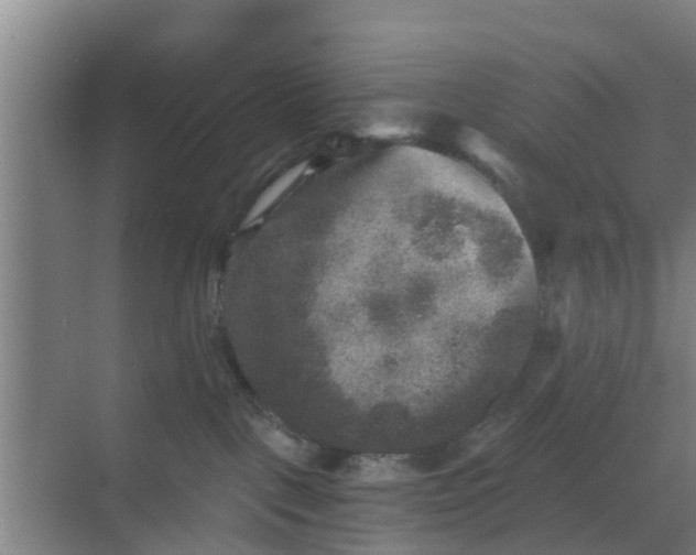 X0000069800093200605261734