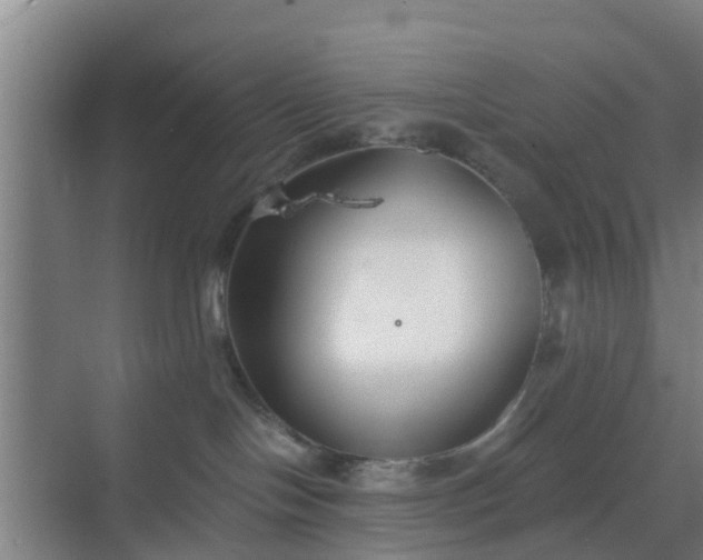 X0000069800094200605261734