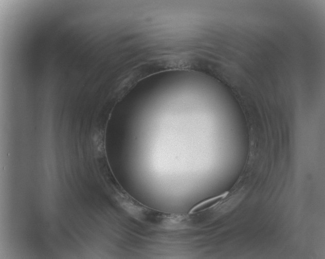 X0000069800096200605261734