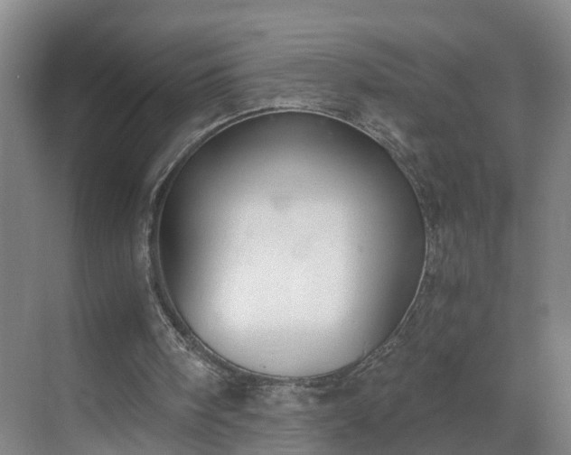 X0000069800098200605261733