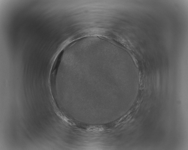 X0000069800099200605261733