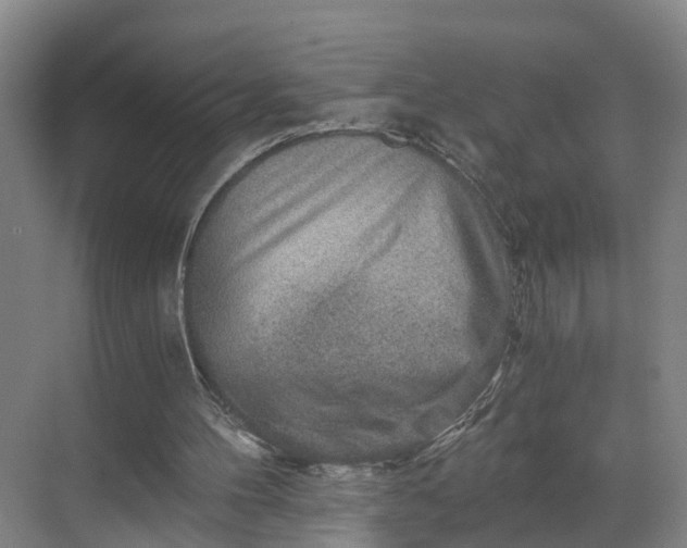 X0000069800100200605261733