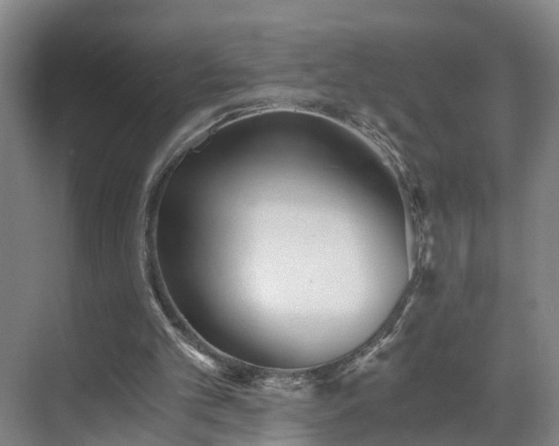 X0000069800101200605261733