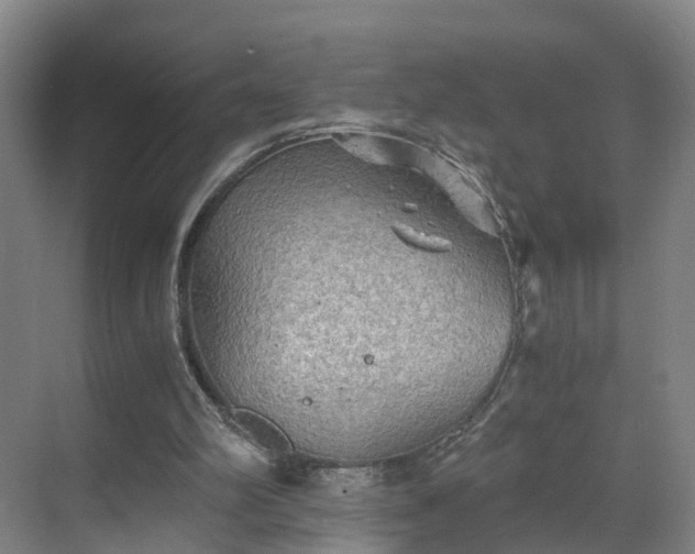 X0000069800102200605261733