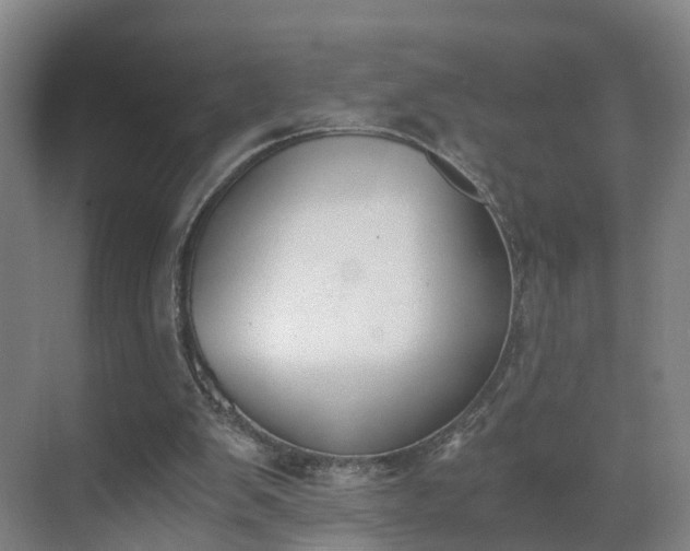 X0000069800103200605261733