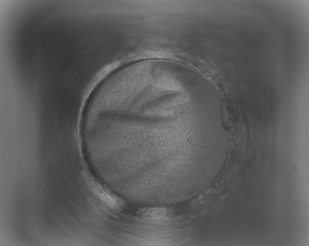 X0000069800104200605261733