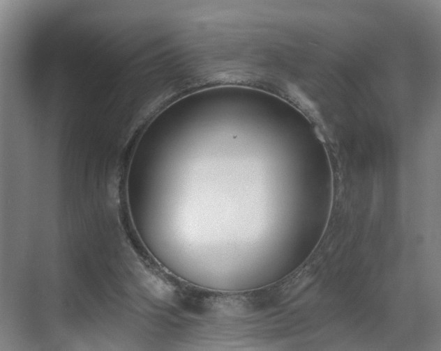 X0000069800106200605261733