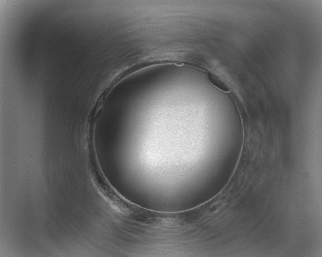 X0000069800107200605261733