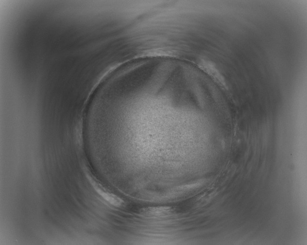 X0000069800108200605261733