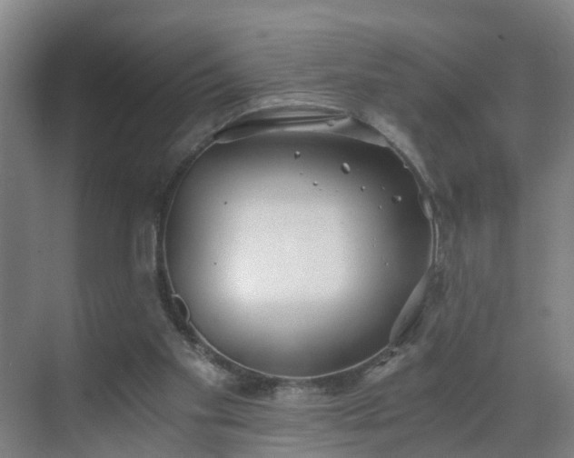 X0000069800109200605261733