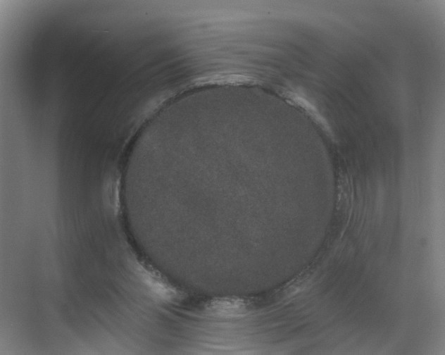 X0000069800110200605261733