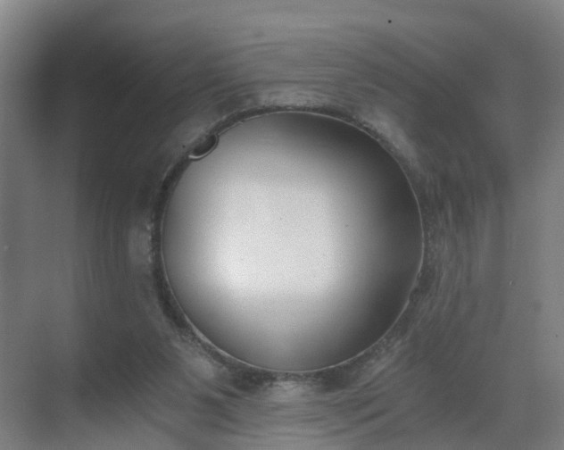 X0000069800111200605261733