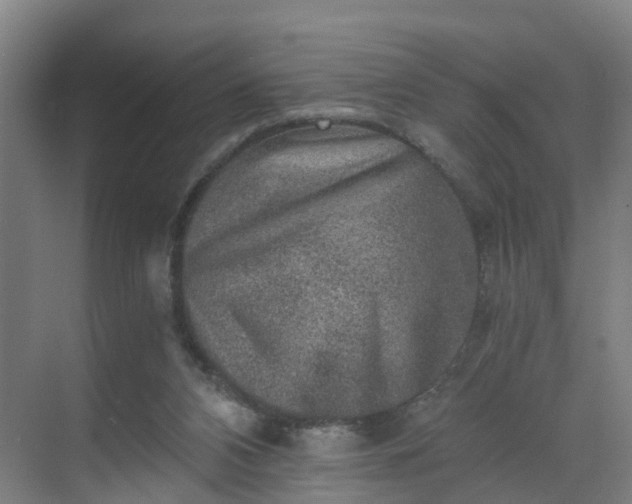 X0000069800112200605261733