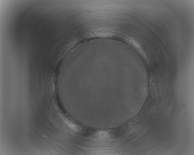 X0000069800114200605261733