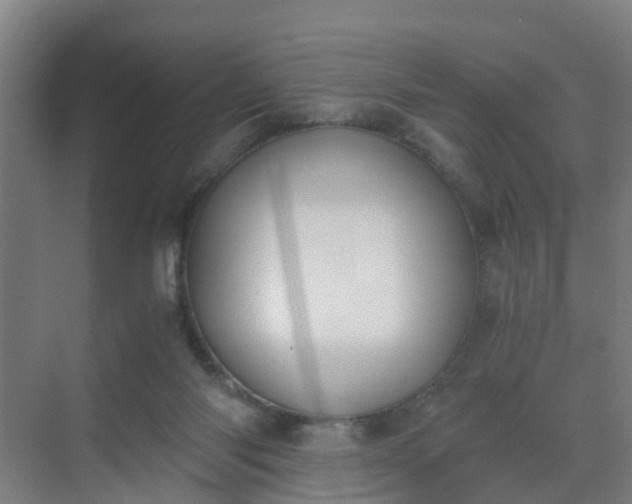 X0000069800118200605261733