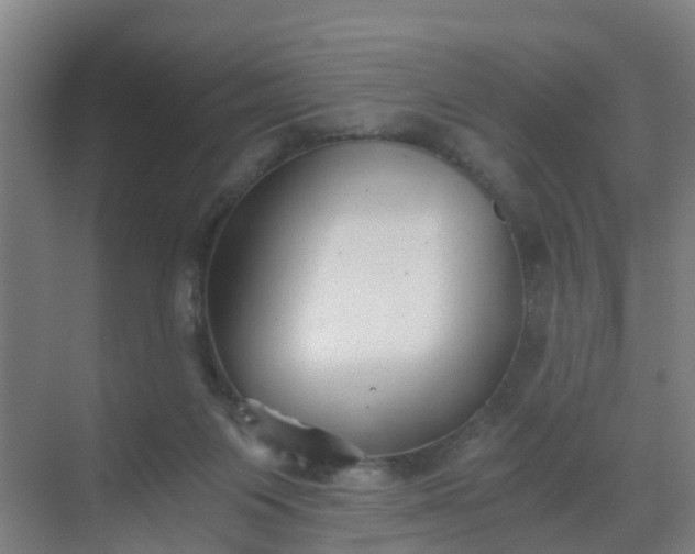 X0000069800119200605261733