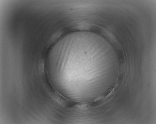 X0000069800120200605261733