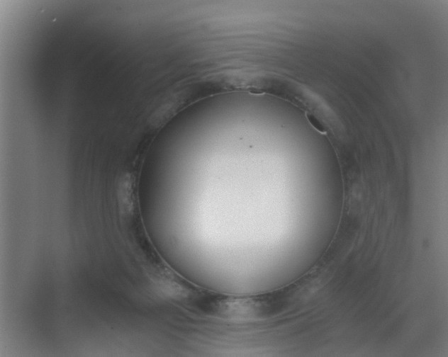 X0000069800121200605261733