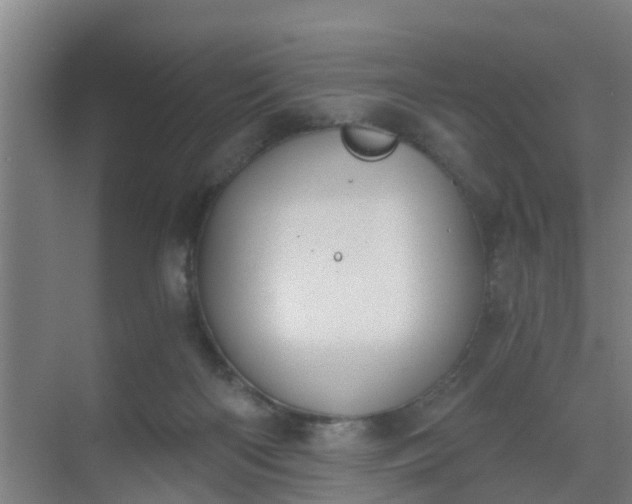 X0000069800122200605261733