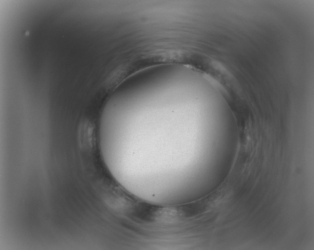 X0000069800123200605261733