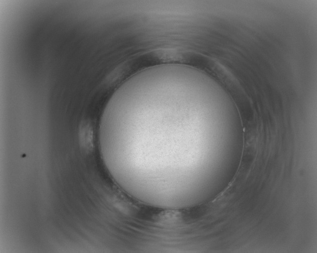 X0000069800124200605261733