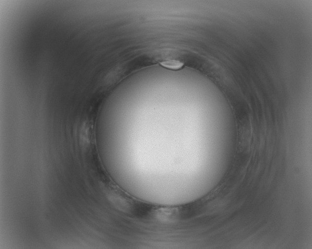 X0000069800126200605261732