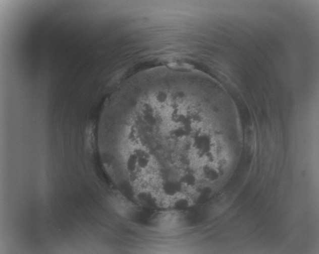 X0000069800127200605261732