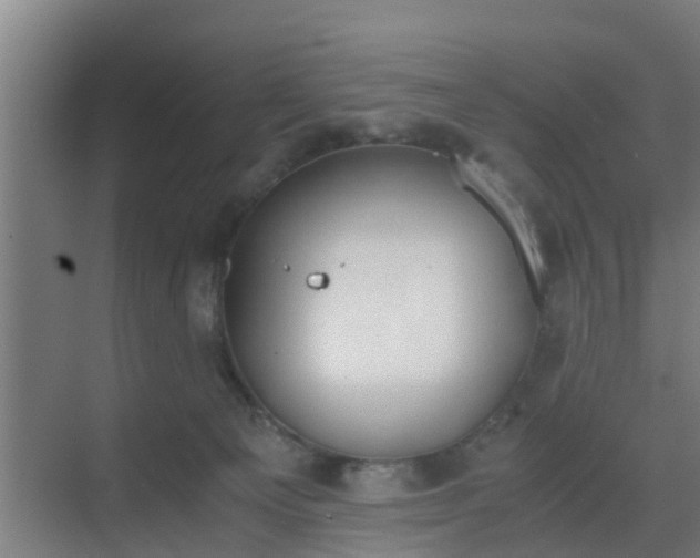 X0000069800129200605261732