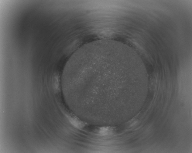 X0000069800130200605261732