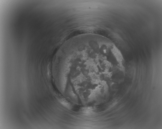 X0000069800131200605261732