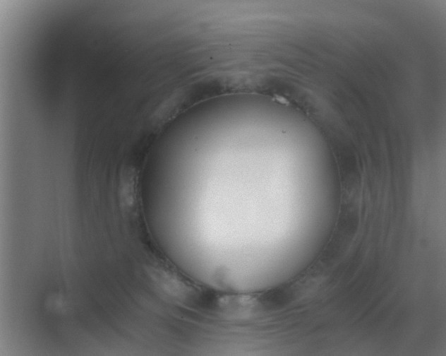 X0000069800133200605261732