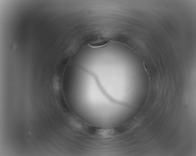 X0000069800135200605261732