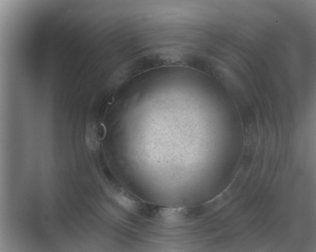 X0000069800136200605261732