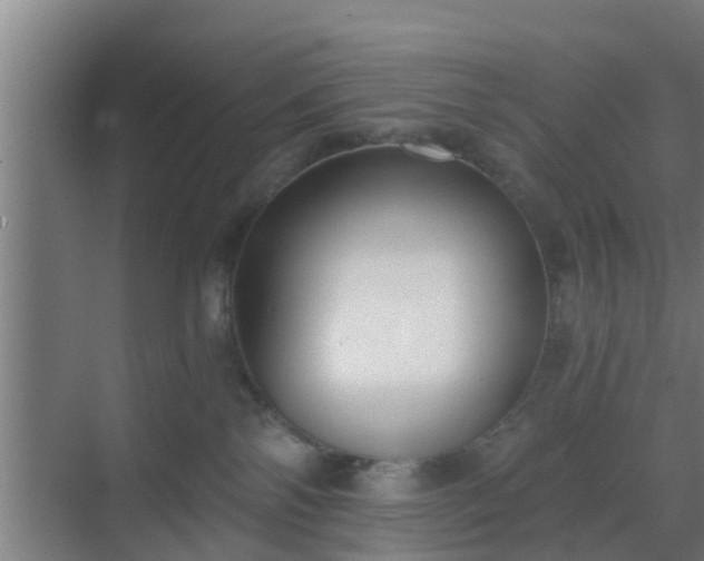 X0000069800138200605261732