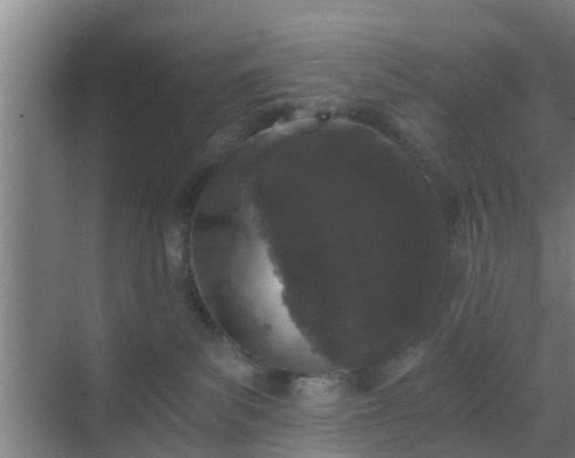 X0000069800139200605261732