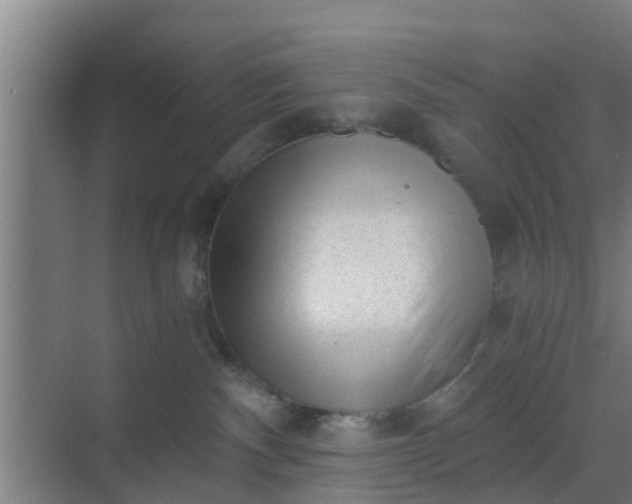 X0000069800140200605261732